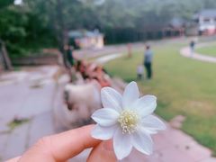 -康定跑马山风景区