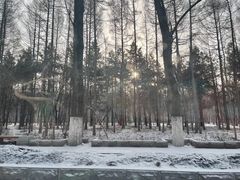 -长春市南湖公园