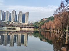 -重庆彩云湖湿地公园