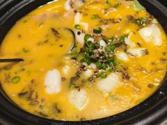 -大鸭梨烤鸭(望京店)