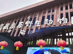 -青藏高原野生动物园