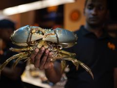 -Ministry of Crab(科伦坡店)