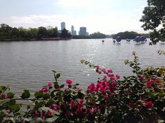 -惠州西湖风景名胜区-丰渚园