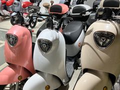 -雅迪电动车(北艾路店)
