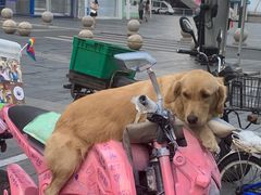 -帝京日语(春熙路旗舰校区)