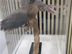 -陕西科学技术馆