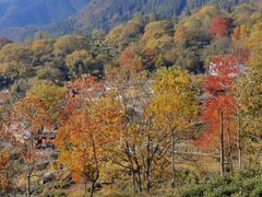 -塔川景区