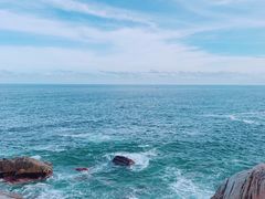 -广东惠东海龟国家级自然保护区