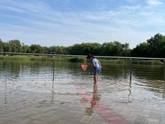 -永定河休闲森林公园