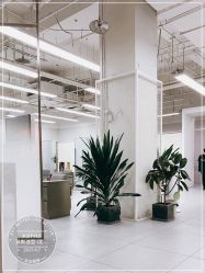 -P.STYLE派斯造型