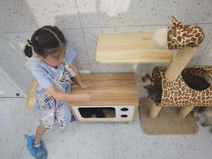 -喵园·猫主题咖啡厅·撸猫·猫咖(国贸店)