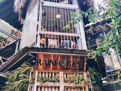 -Rainforest