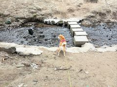 -白水寺森林公园