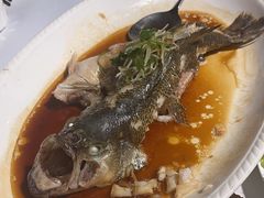 清蒸桂鱼-海富门·带鱼·淮扬菜·粤菜(甘家口店)