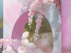 -经典婚纱摄影美学馆·私人定制