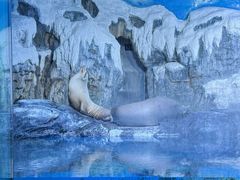 -大连老虎滩海洋公园