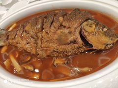-阿五黄河大鲤鱼(海尚店)