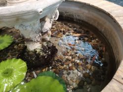 -梦之初儿童摄影(江宁店)