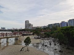 -霞山观海长廊