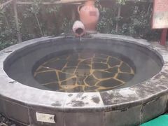 -仁爱团泊湖温泉中心