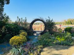 -东平国家森林公园