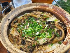 -优之名鹅城