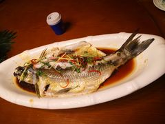 -醉美东江·三文鱼·烧鸡公