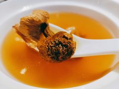 松茸鸡汤-大蓉和(双楠店)