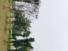 -蜀绣公园