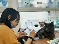 -猫小院猫主题咖啡厅(北锣店)