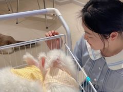 -怪兽屋·羊驼·猫咖·狗咖(俊华广场店)