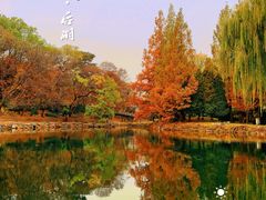 -颐和园