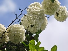 -苏州上方山国家森林公园
