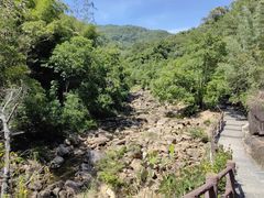 -广州白江湖森林公园