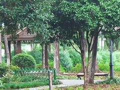 -金银湖国家城市湿地公园