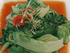 -新南华大酒店(长寿店)
