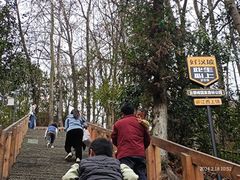 -云碧峰国家森林公园