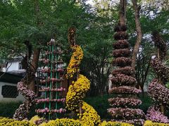 -杭州植物园