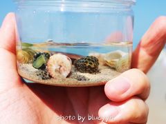 纪念品-滴水丹屏