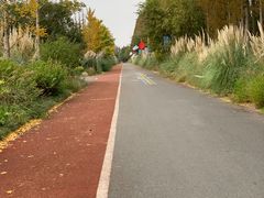 -上海长兴岛郊野公园