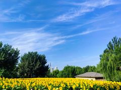 -长白岛森林公园