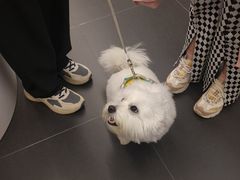 -馬伍旺川菜(江北虹悦城店)