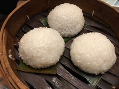 茨毛圆子-双塔老饭店
