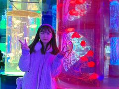 -左海海底世界