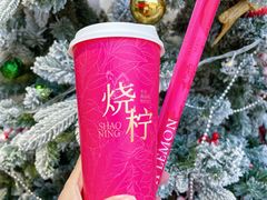 -烧柠·柠檬茶(大融城店)