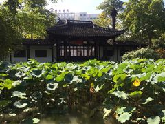 iphone_upload_pic-清晏园