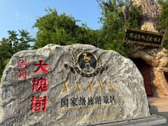 -大槐树寻根祭祖园