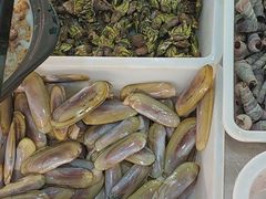 -梅子大排档