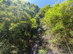 -石台牯牛降景区