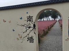 -汉长安城未央宫国家考古遗址公园